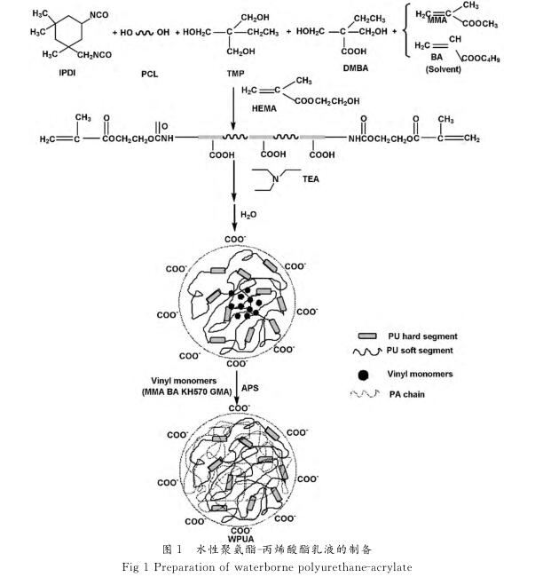 水性聚氨酯 － 丙烯酸酯乳液的制備