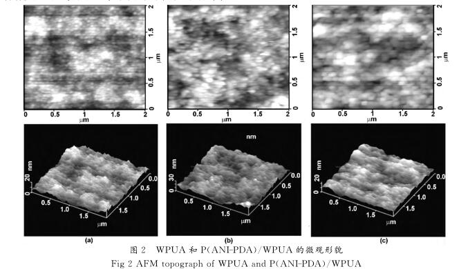 ＷＰＵＡ 和 Ｐ （ ＡＮＩ － ＰＤＡ ）／ ＷＰＵＡ 的微觀形貌