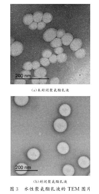 水性聚氨酯乳液的 ＴＥＭ 圖片