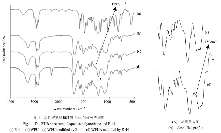 水性聚氨酯和環氧 E-44 的紅外光譜圖