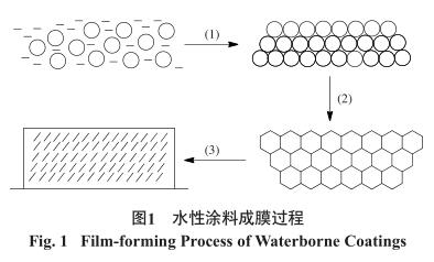 水性涂料成膜過程