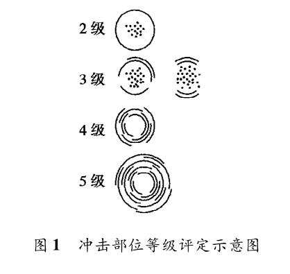 沖擊部位等級評定示意圖