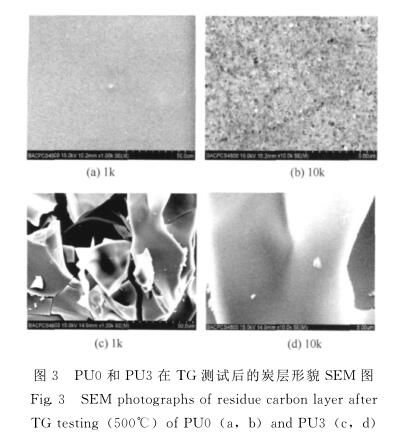 ＰＵ０ 和 ＰＵ３ 在 ＴＧ 測試后的炭層形貌 ＳＥＭ 圖