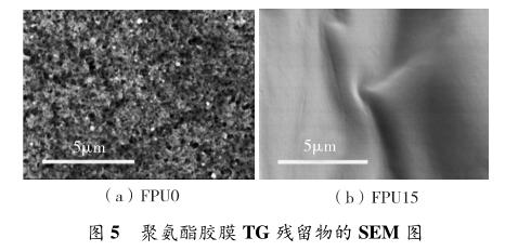 聚氨酯膠膜 TG 殘留物的 SEM 圖