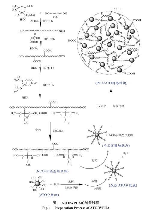 ATO/WPUA 的制備過程