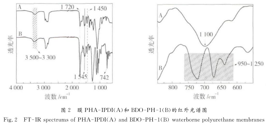  膜ＰＨＡ － ＩＰＤＩ （ Ａ ）和 ＢＤＯ － ＰＨ － １ （ Ｂ ）的紅外光譜圖