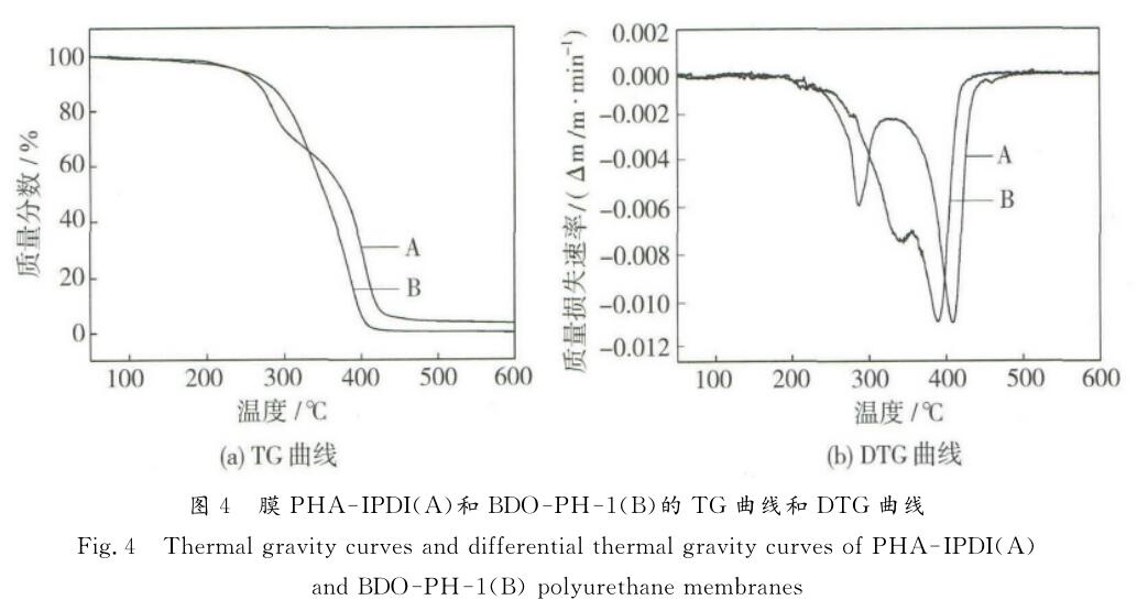  膜 ＰＨＡ － ＩＰＤＩ （ Ａ ）和 ＢＤＯ － ＰＨ － １ （ Ｂ ）的 ＴＧ 曲線和 ＤＴＧ 曲線