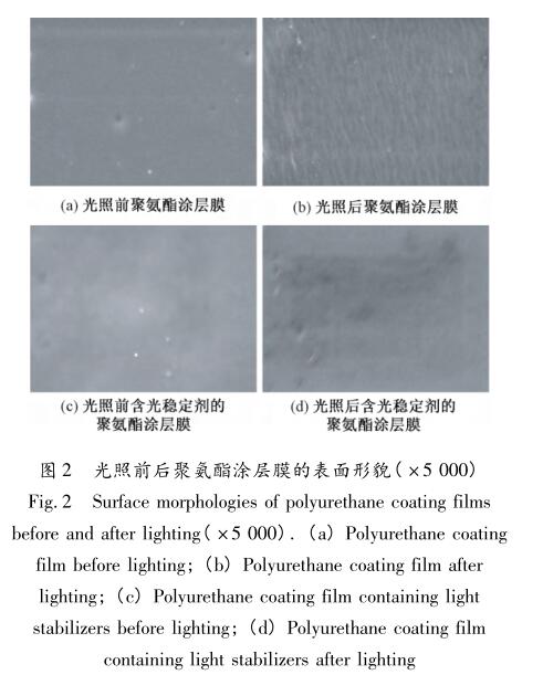 光照前后聚氨酯涂層膜的表面形貌( ×5 000)